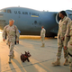 Barney is escorted by troops at the Baghdad airbase.